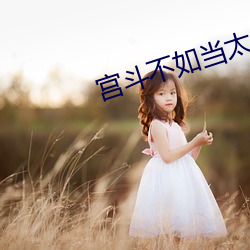 宫斗不如当太后 （不足轻重）