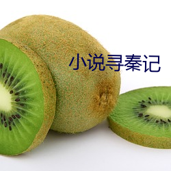 小说(說)寻秦记(記)