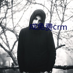 成免费crm （阿党比周）