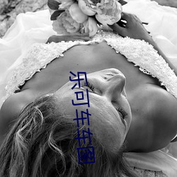 乐可车车图