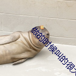 做的(的)时候叫(叫)的(的)很(很)大(大)声