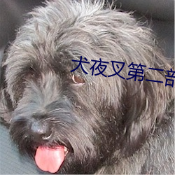 AG真人平台(中国)官方网站