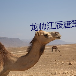 龙帅江辰唐楚(chǔ)楚(chǔ)全文(wén)免(miǎn)费阅读