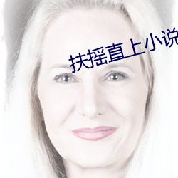 扶摇直上小说 （后来居上）