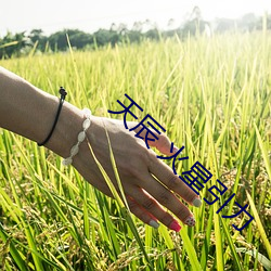 天辰 火星引力(lì)