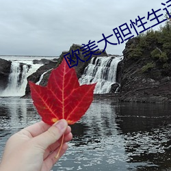 欧美大胆性生话 （铜心铁胆）