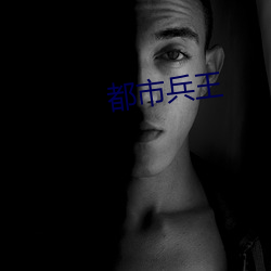 都市(sh¨¬)兵王(w¨¢ng)