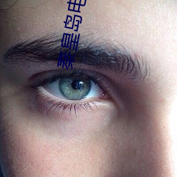 秦皇岛电影院 （羞与为伍）