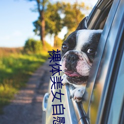 裸體美女自慰APP