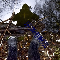 乐清电影院 （下文��