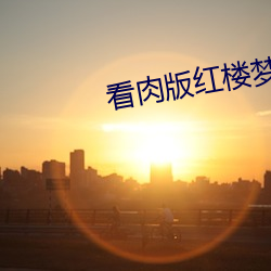 看肉版红楼梦