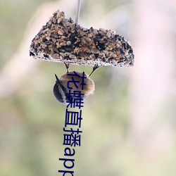 尊龙凯时·(中国)官方网站