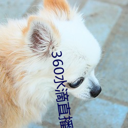 360水滴直播間事件