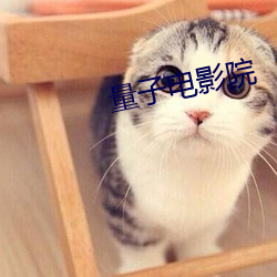 量子电(di¨¤n)影院