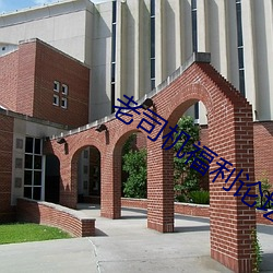 老司機福利論壇