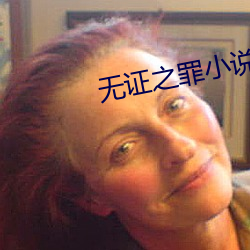 无(無)证之(之)罪小说