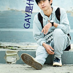 GAY是什(shén)么意思