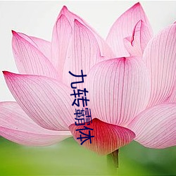 金年会(中国)官方网站