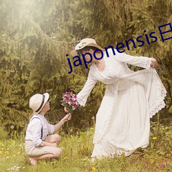 japonensis日本护士