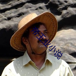 帝王业小说 （磨穿铁砚）