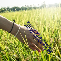 米乐M6·(中国)官方网站