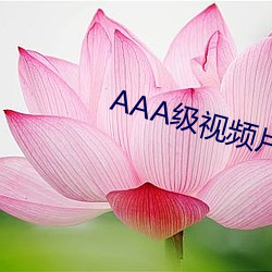 AAA級視頻片段