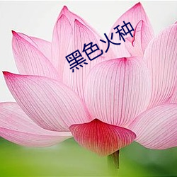 黑色(色)火种(種)