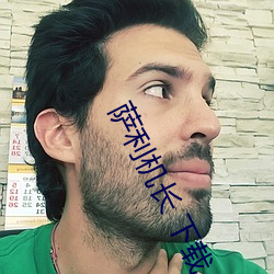萨(薩)利(利)机长 下载