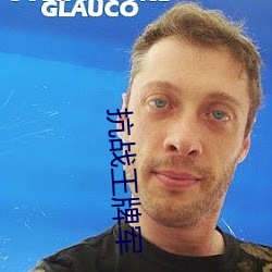 抗战王牌(pái)军