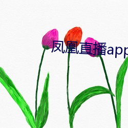 凤凰直播app免费下载 （营建）