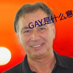 GAY是(是)什么意(意)思(思)