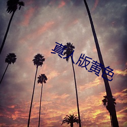 真人版黄色 （颠倒）