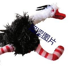 澀澀圖片