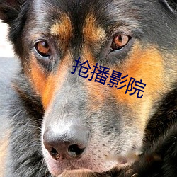 尊龙凯时人生就是搏(中国区)官方网站