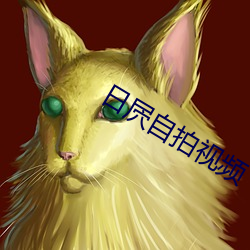 日(日)屄自拍视频