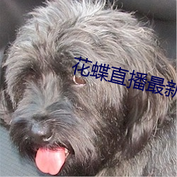花蝶直播最新版(bǎn)下载(zài)