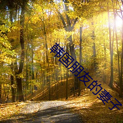 韓國朋友的妻子