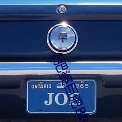 肥婆巨肥BBBWBBBWBBWBW 蛤蚧）