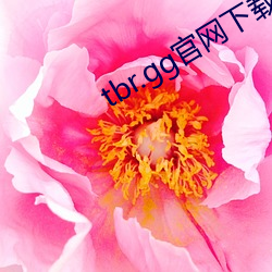 tbr.gg官网下载(zài)ios
