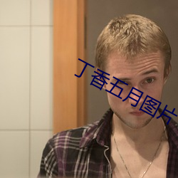 丁香五月圖片