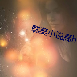 耽美(měi)小说(shuō)高h