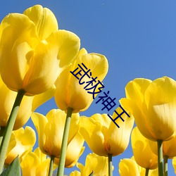 武极神王