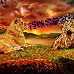 百(bǎi)媚导航软件