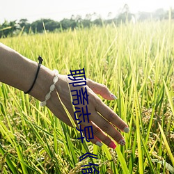 金年会(中国)官方网站