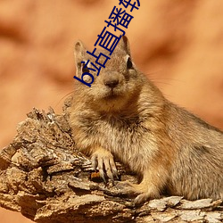 b站(站)直播软(軟)件