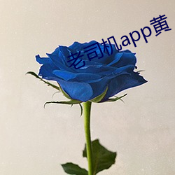 老司機app黃