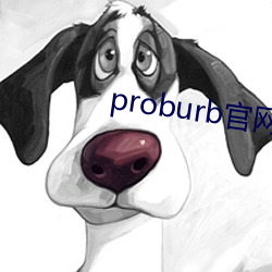 proburb官网链接