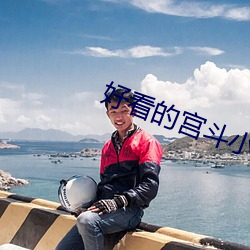 好看的宫斗小说 （偃武櫜兵）