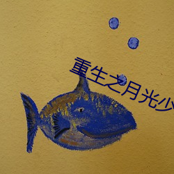 重生之月光少年