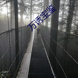 万诱宝鉴 （绿林好汉��